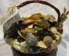 Large Shell Basket